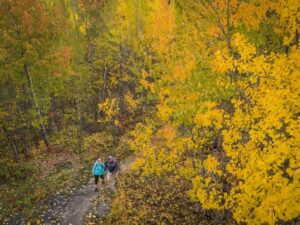 Carey Lake Trail