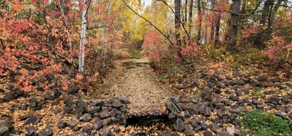 A fall trail at Redhead Mountain Bike Park in northern Minnesota.