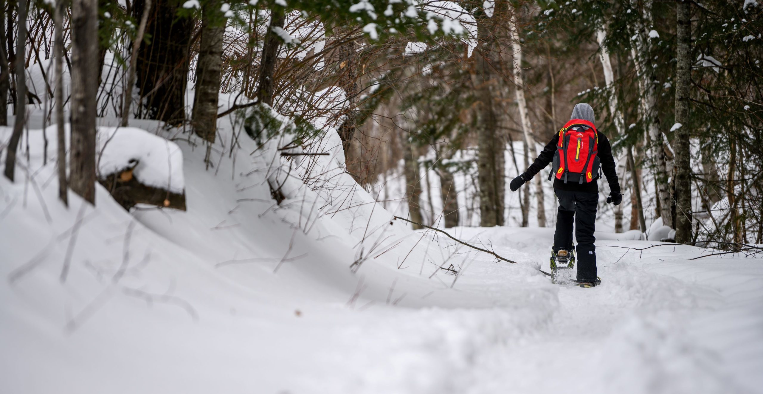 3 Best Snowshoeing Experiences on The Range Discover the Range