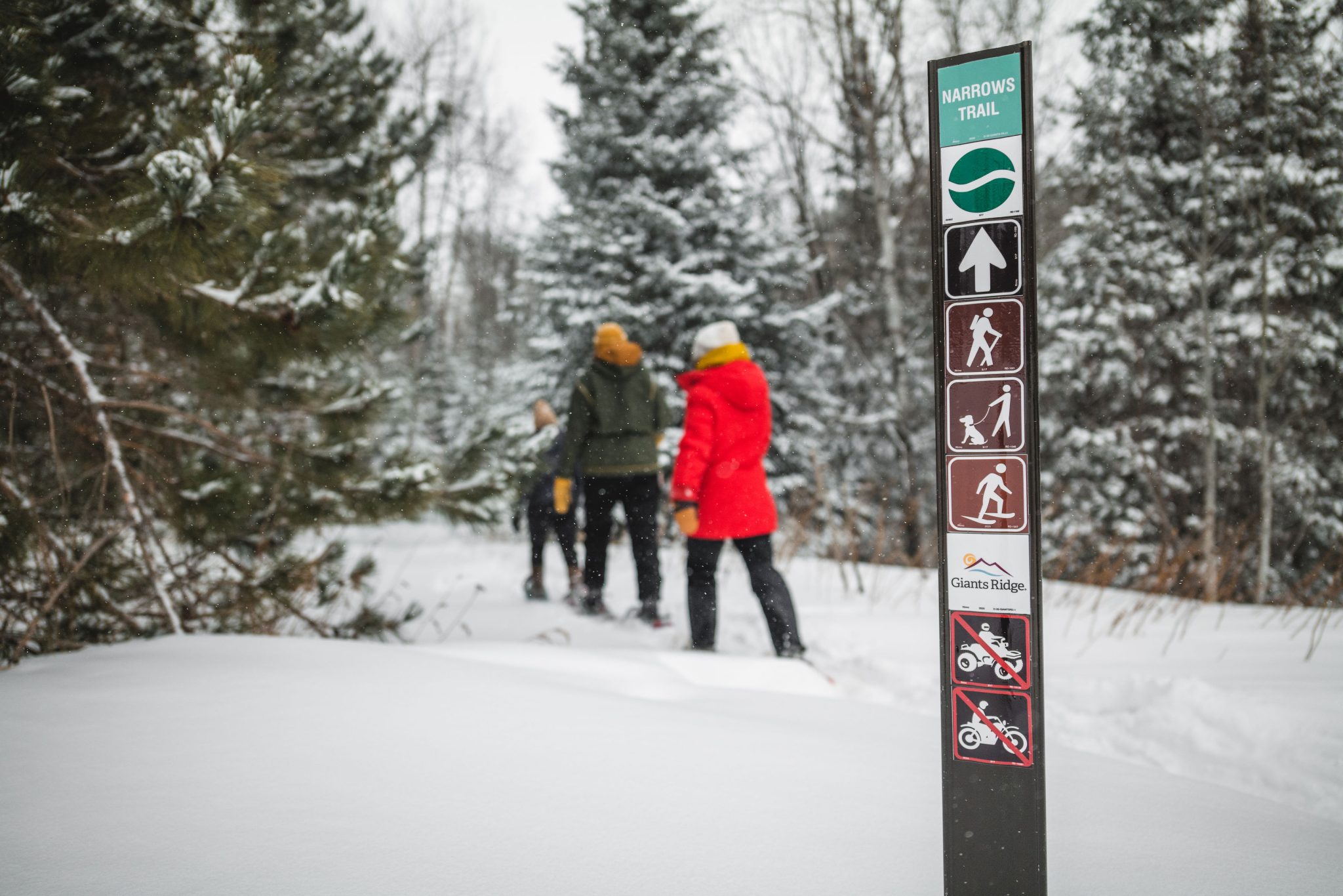 3 Best Snowshoeing Experiences on The Range Discover the Range