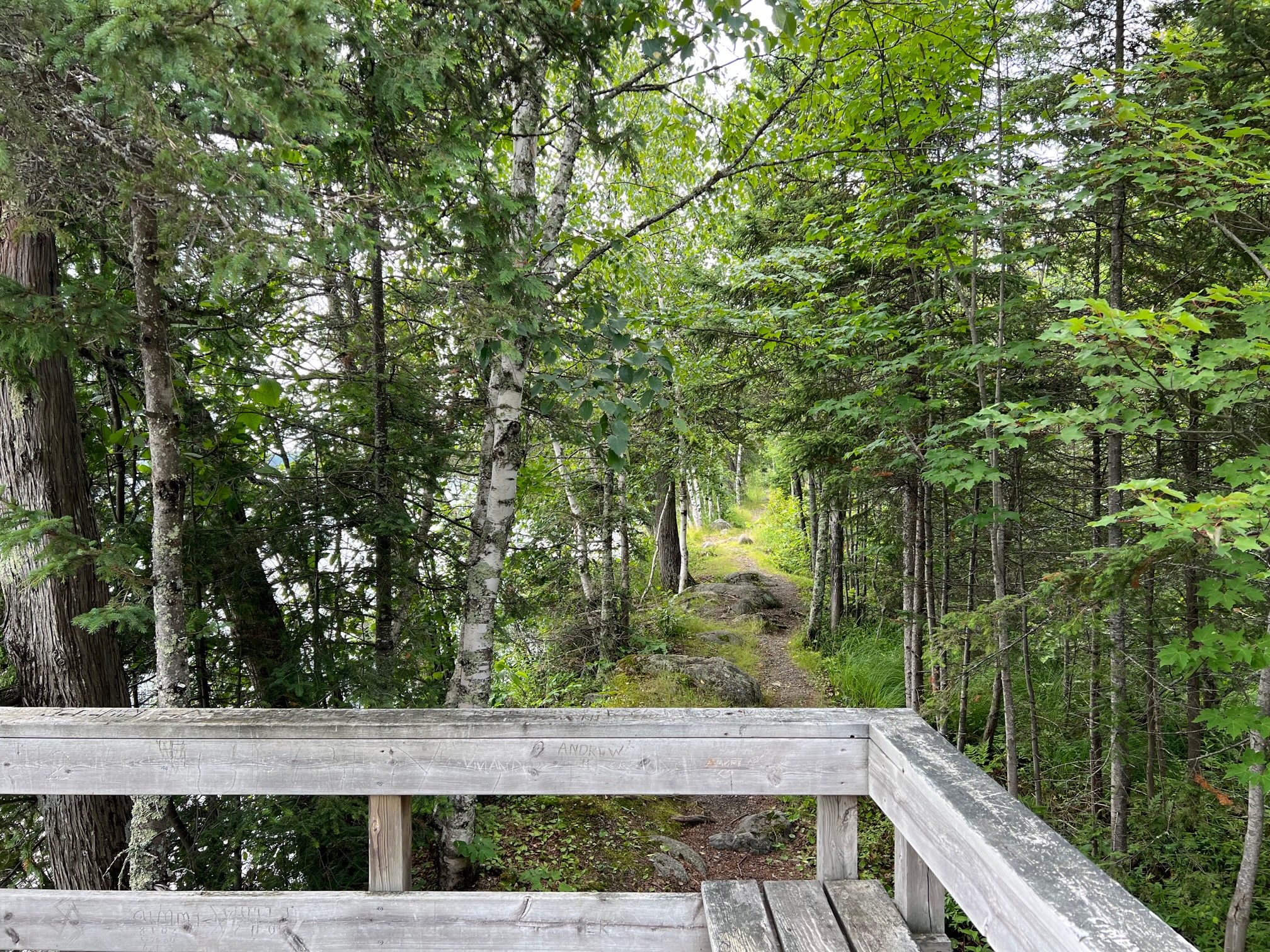 Cadotte Lake Campground in the Superior National Forest has a fishing pier and walking trails. 