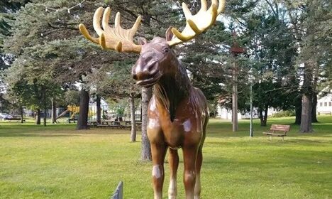 Honk the Moose is a beloved children's book character who lives in Biwabik, Minnesota