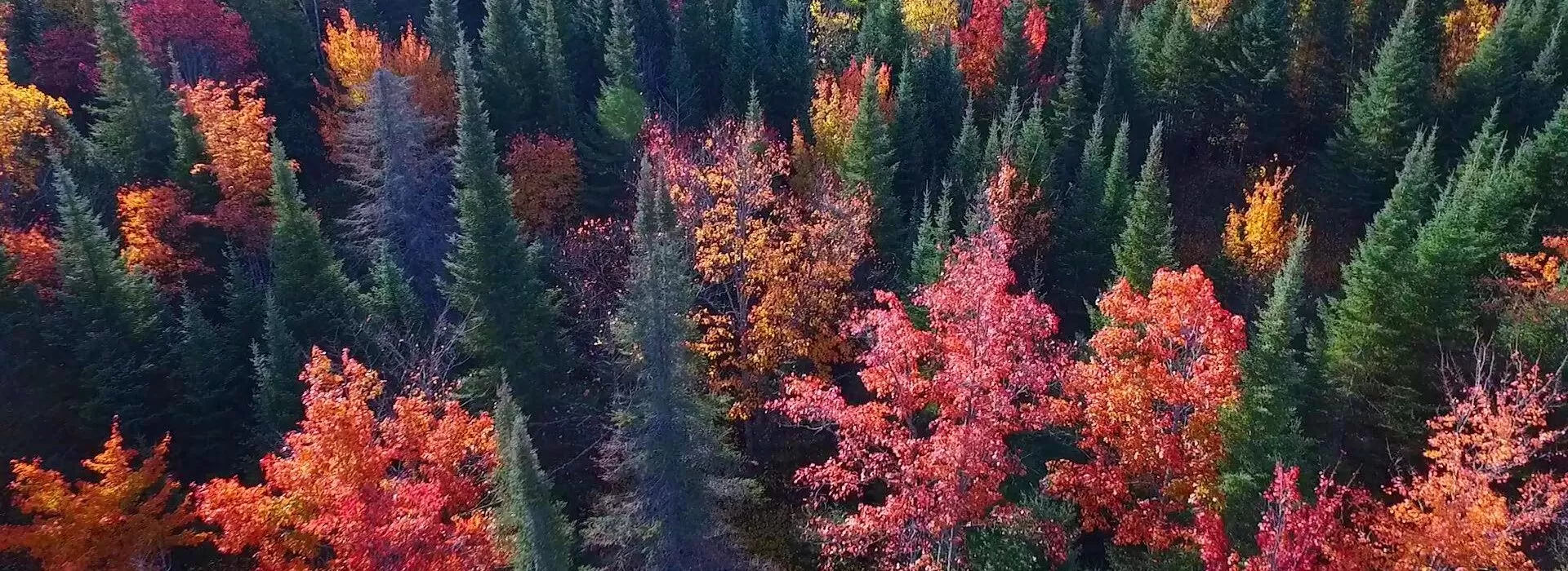 IRTB FALL DRONE PREVIEW.mov.01_00_28_03.Still001