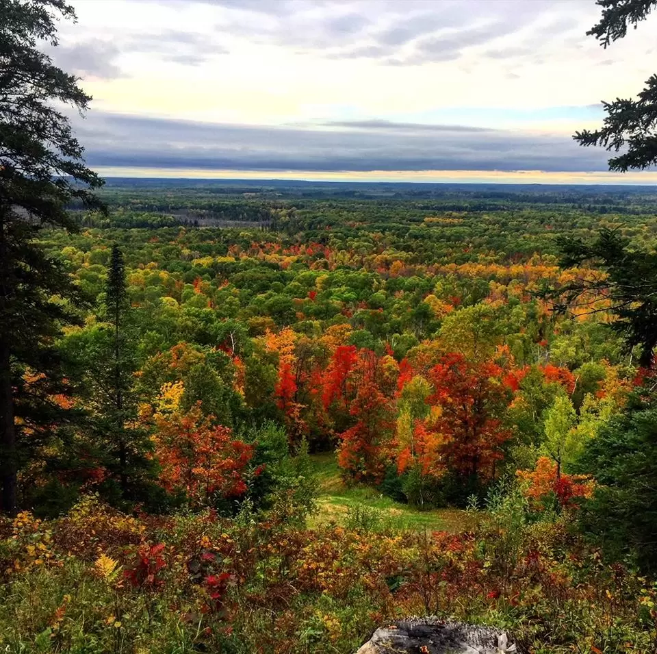 Superior National Forest view from Giants Ridge 