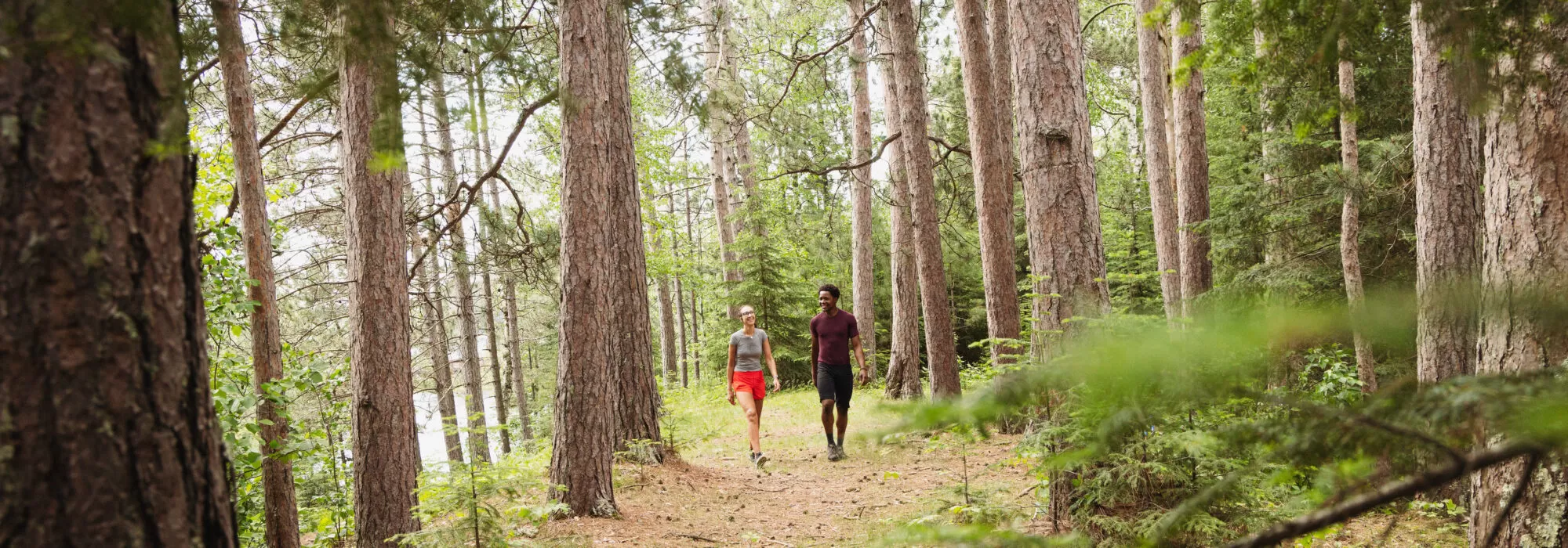 A couple hikes among towering white pine trees in Minnesota's Superior National Forest
