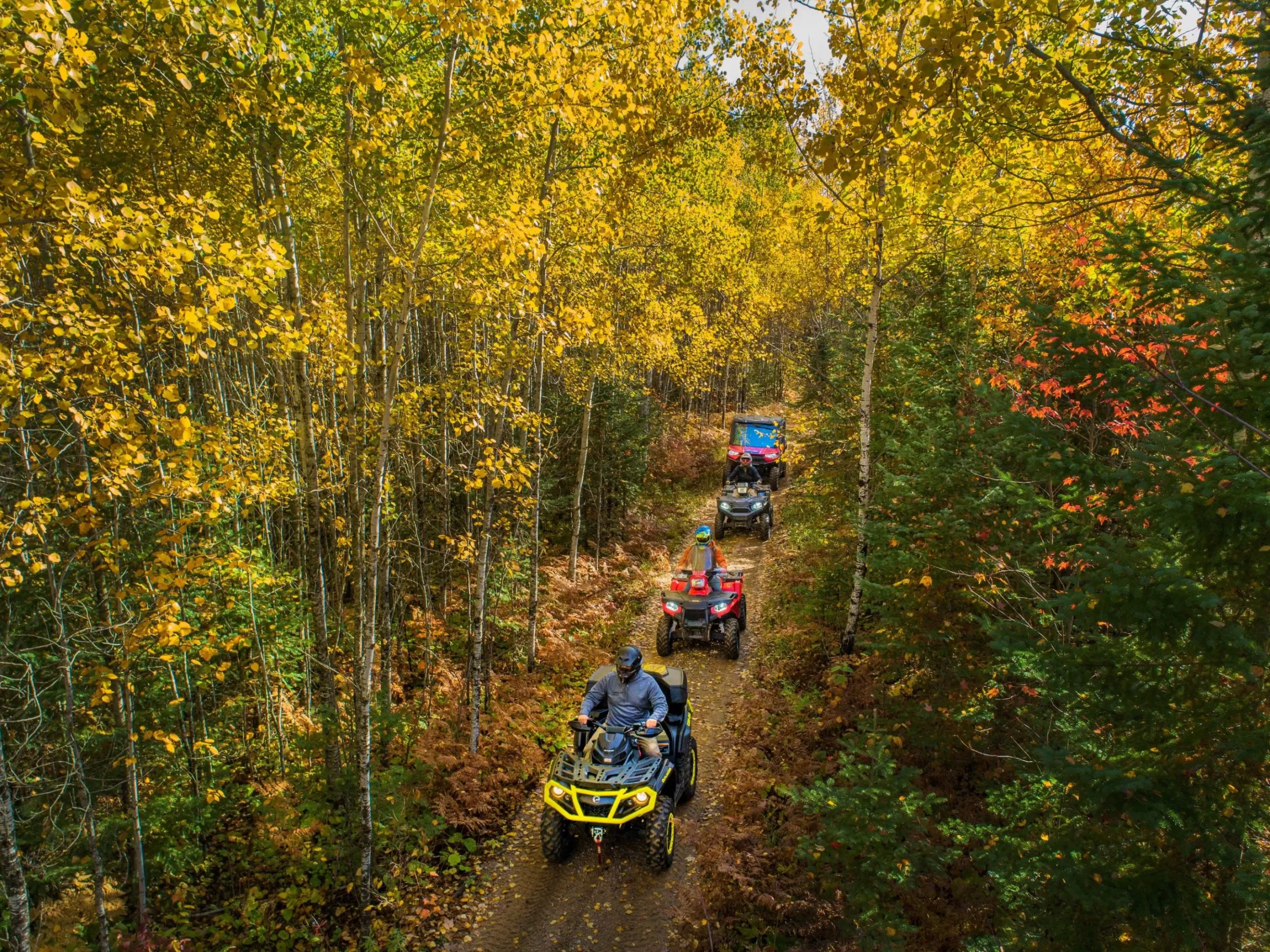 All-terrain vehicles ride along a wooded trail in the fall in northern Minnesota.