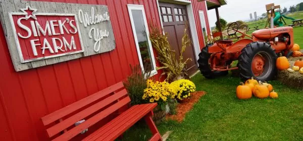 Simek's Farm in northern Minnesota offers fall activities for kids and families