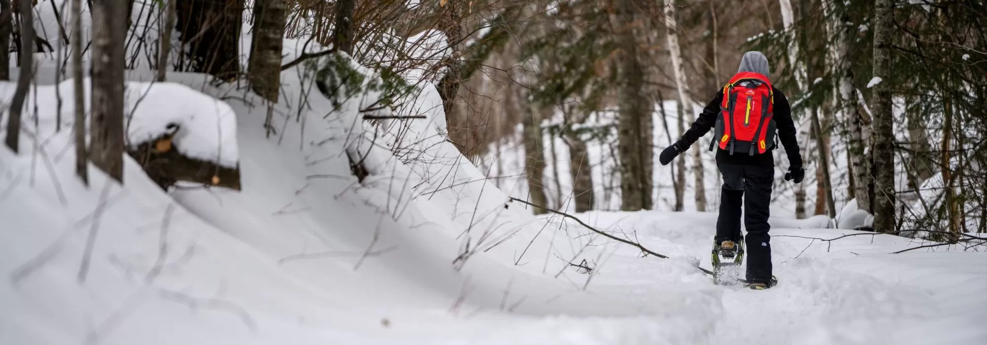 Lone snowshoer 2022 Rendulich - Copy